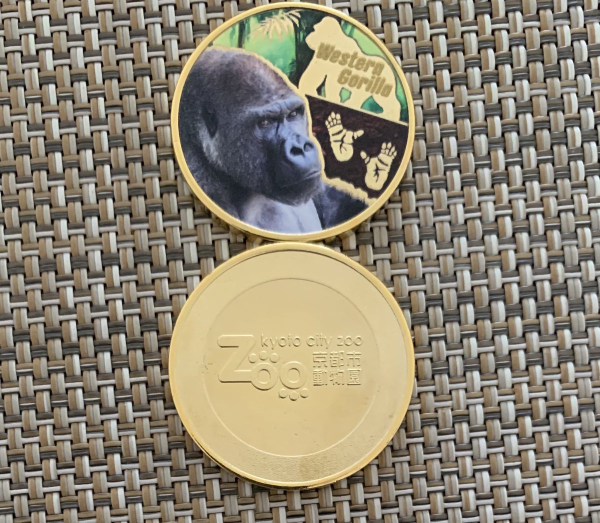 京都市動物園 月曜日休み 正面エントランス ショップ 無料エリア 本日