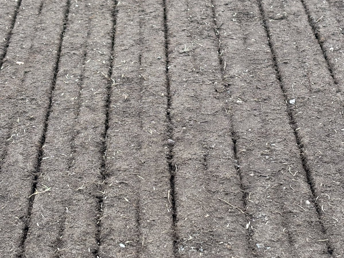 Tillers Turf tweet media