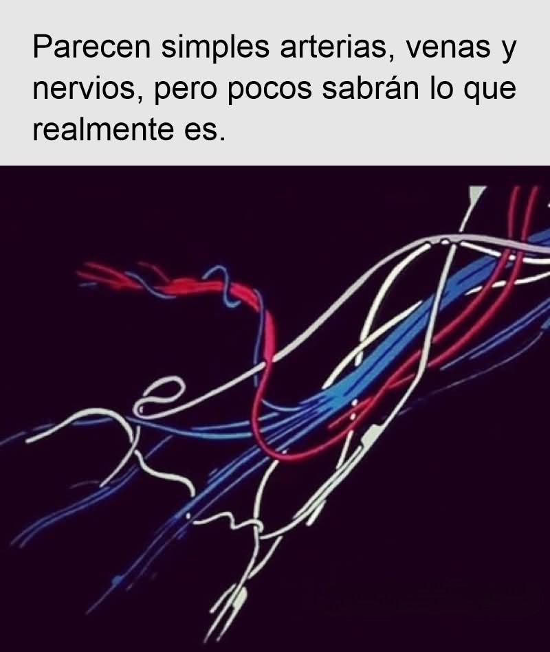 Ztockerstein tweet media