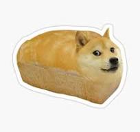 moul🦅🟠 tweet media