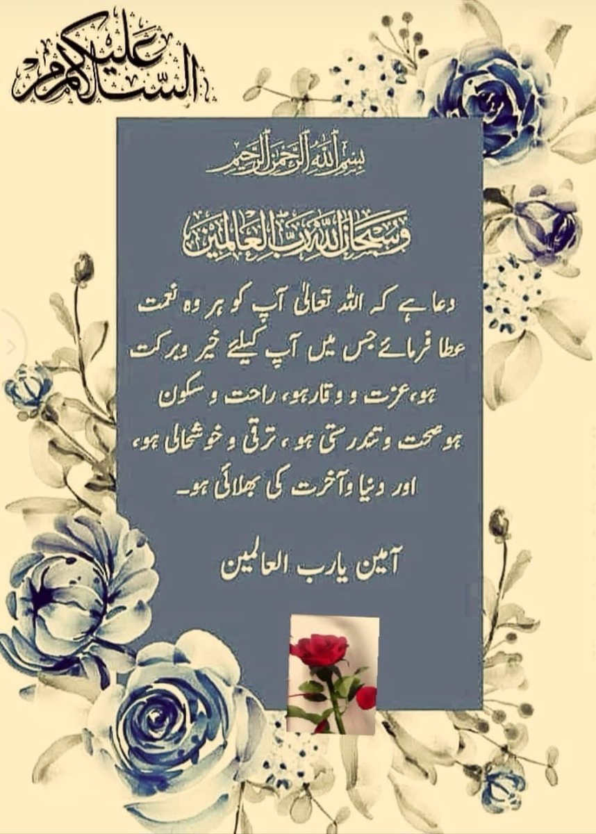 kashifbuttpew's tweet photo. Good 🌞 morning 
#Goodmorning 
#GoodMorningEveryone
#GoodMorningTwitterWorld
#GoodMorningEveryone #goodmorningquotes 
#ButtDaDeyra #DoHelp
#بٹ_دا_ڈیرہ 
@kzb23 درود شریف پڑھ لیں
#Twitter #x #peshawar #viral #Trending #foryouシ
#Rama   zan https://t.co/O4hfdVSCZH