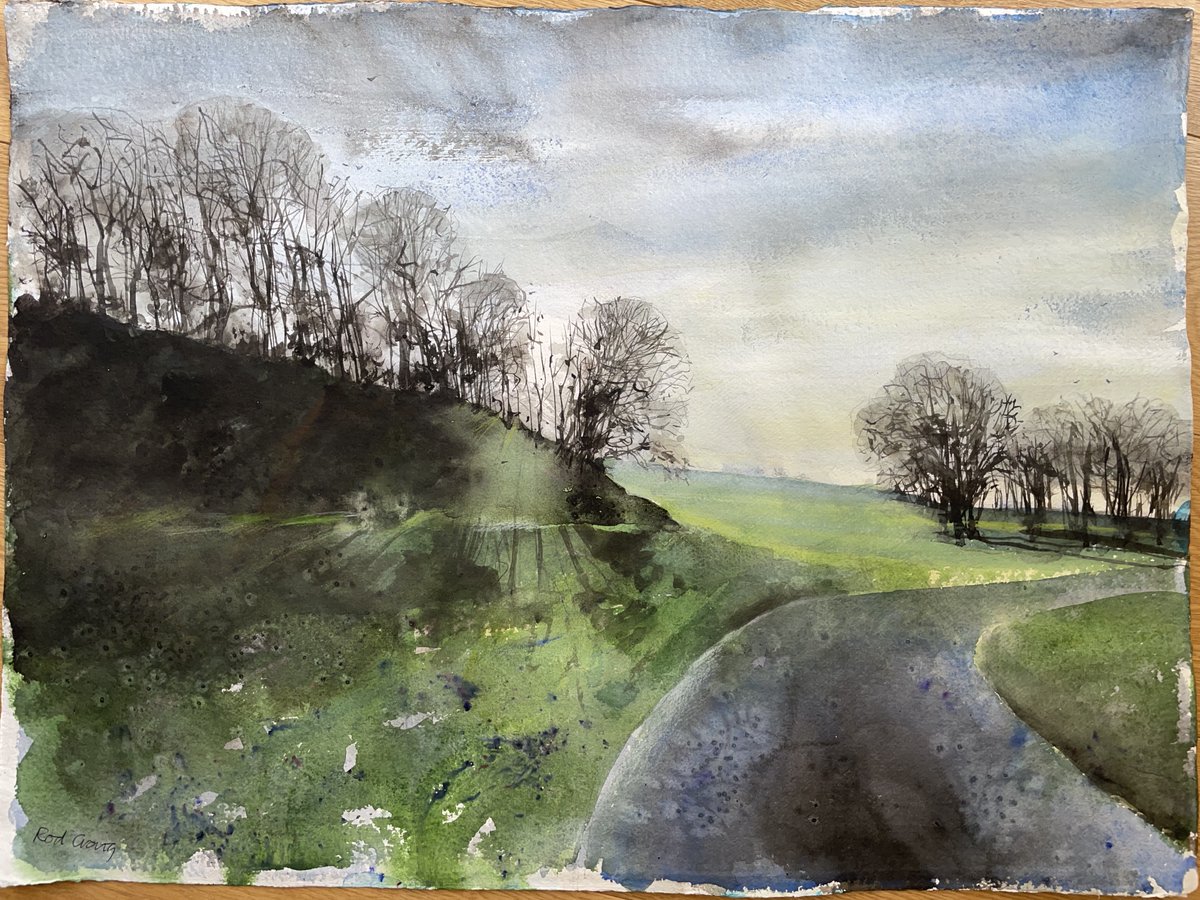 Early morning, Blenheim Park #watercolour #landscapepainting