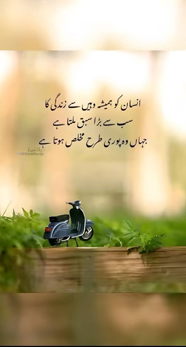 MuhammadYo43586's tweet image. Hello everyone 
Hello friend how are you