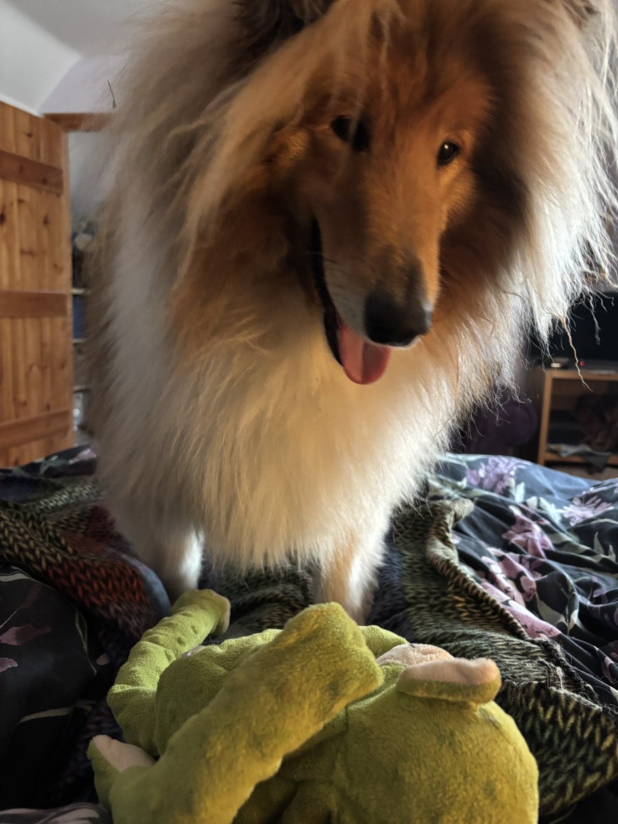 The Hound tweet media