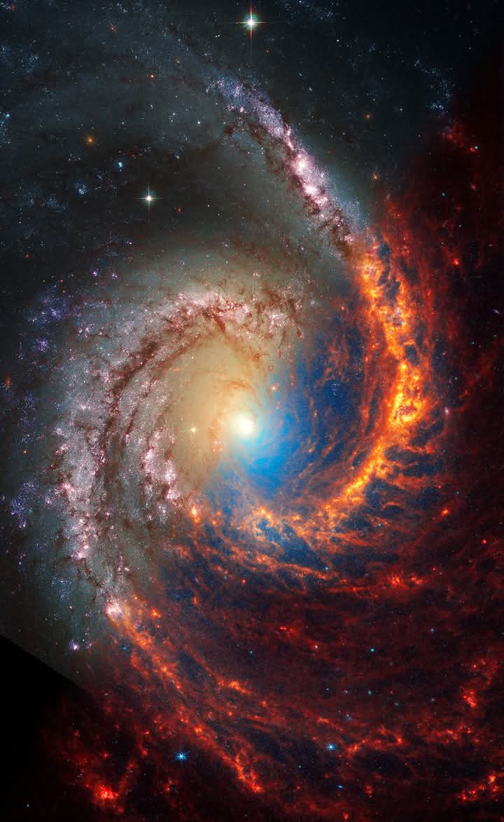 amazing_physics's tweet photo. A face-on view of spiral galaxy NGC 1566, split diagonally in this combination image. The image from the James Webb Space Telescope (JWST) appears at upper right, and the Hubble Space Telescope’s at lower left. The JWST image shows galaxies in near- and mid-infrared light, compared with Hubble’s view, which shows visible and ultraviolet light. In the JWST image, dust glows in infrared light, whereas Hubble shows dark regions where the starlight is absorbed by dust.  Credit: NASA, ESA, CSA, STScI, Janice Lee, STScI, Thomas Williams, PHANGS Team