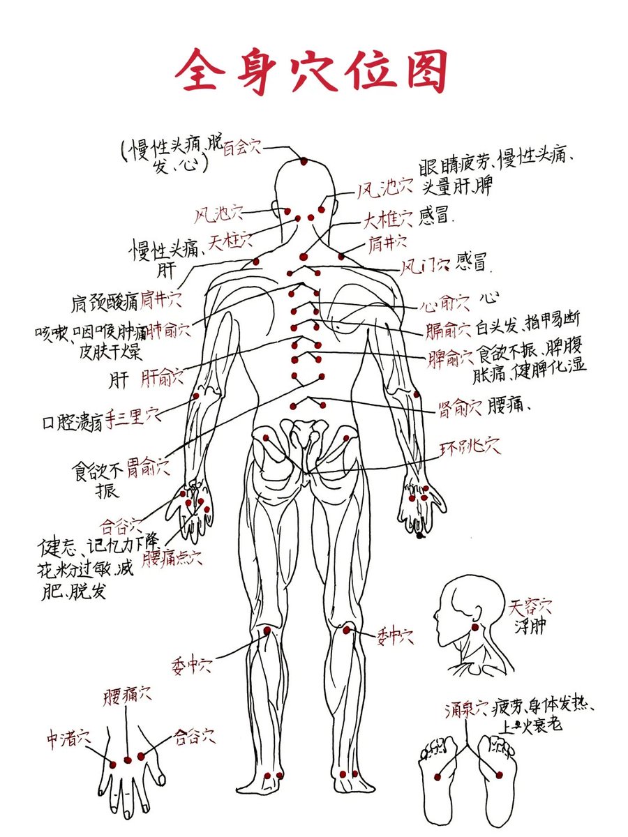 全身穴位图
#中医 #中医学 #经络 #经络穴位 #中医养生 #中医学习 #穴位 #五腧穴 #穴位分享 #穴位定位