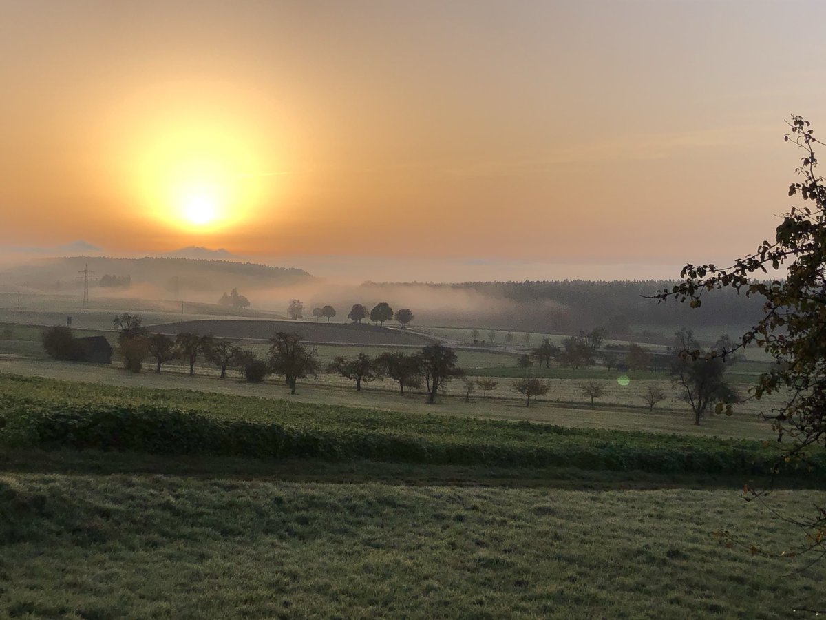 Martina Haffke🇪🇺🫶 tweet media