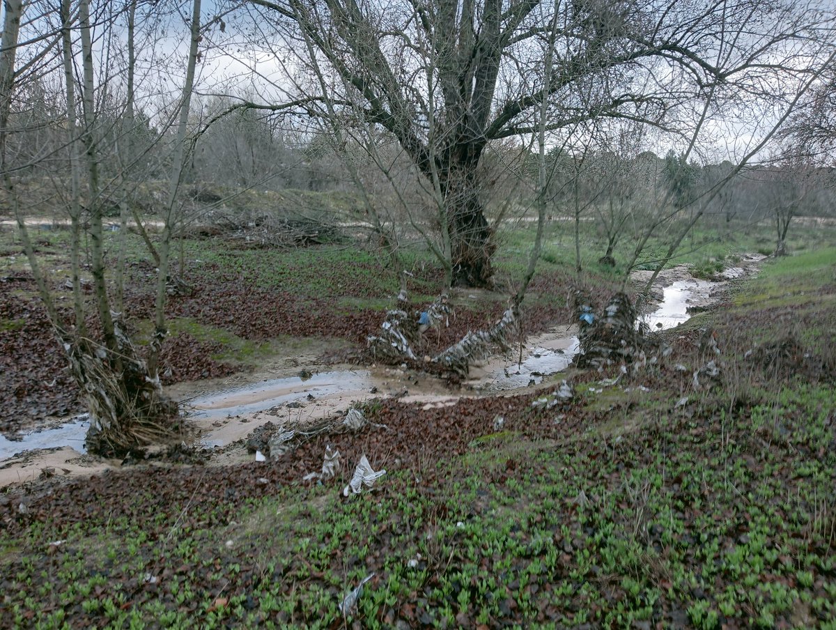 borjasfoxa's tweet photo. ¿ De quién es competencia la limpieza del cauce del arroyo de #Valdevebas ?

Está lleno de plástico y basura. 
Gracias.

@Lineamadrid @20m @telemadrid @ComunidadMadrid @MADRID @davidperez  @HilosValdebebas @AVValdebebas https://t.co/wKx0O65ftS