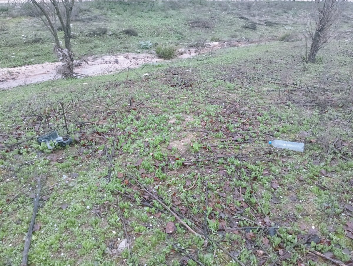 borjasfoxa's tweet photo. ¿ De quién es competencia la limpieza del cauce del arroyo de #Valdevebas ?

Está lleno de plástico y basura. 
Gracias.

@Lineamadrid @20m @telemadrid @ComunidadMadrid @MADRID @davidperez  @HilosValdebebas @AVValdebebas https://t.co/wKx0O65ftS