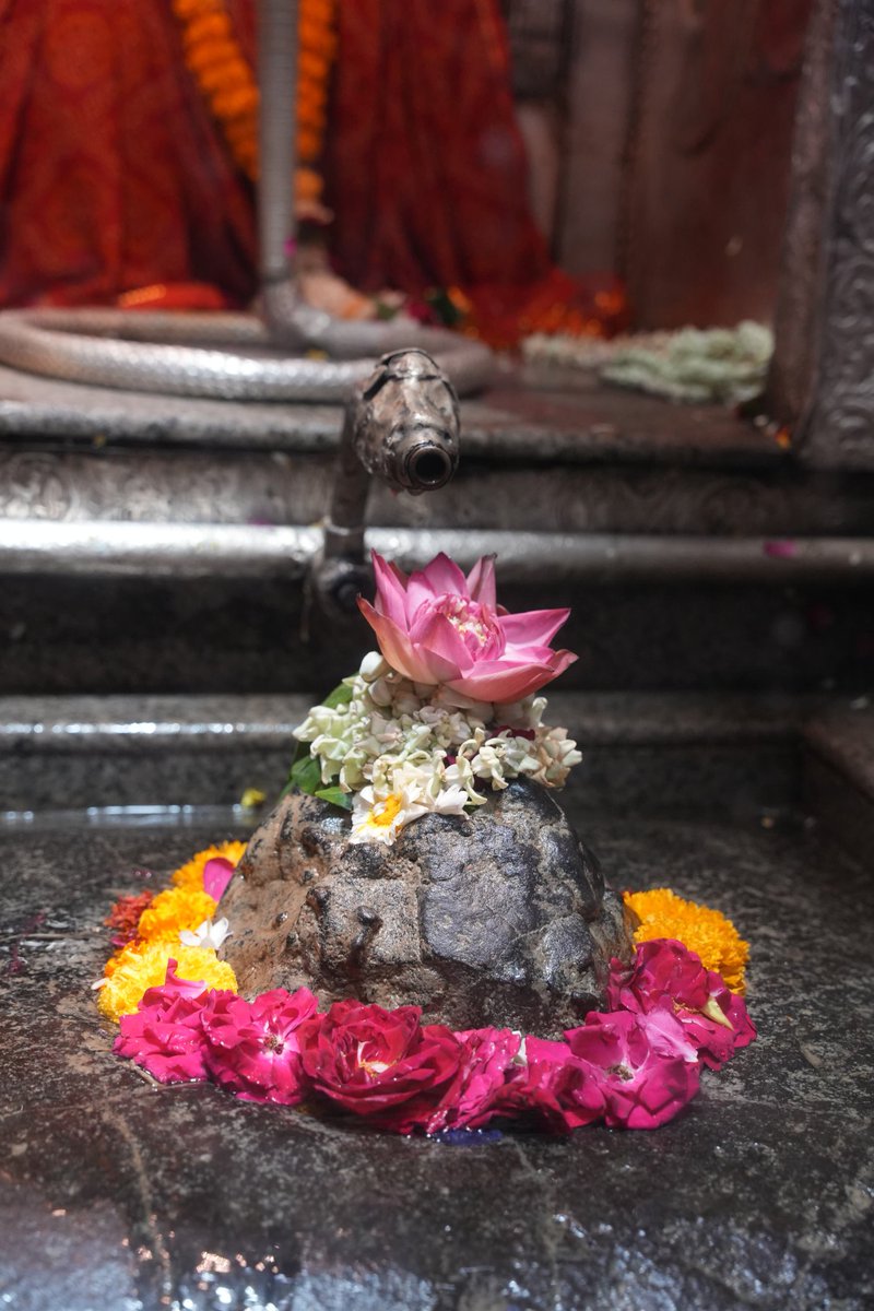 DrMohanYadav51's tweet photo. ।। हर-हर महादेव ।।

आज खंडवा जिले में स्थित श्री ओंकारेश्वर ज्योतिर्लिंग के सपरिवार दर्शन-पूजन कर समस्त प्रदेशवासियों के सुख, समृद्धि व आरोग्यमय जीवन की प्रार्थना की।

देवाधिदेव महादेव की कृपा से हमारा मध्यप्रदेश विकास पथ पर निरंतर आगे बढ़ता रहे, यही कामना करता हूं। https://t.co/PG9dOQp3SB