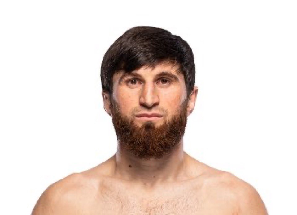 Dillon Danis tweet media