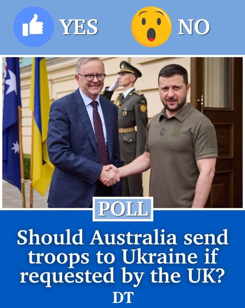 Rosita Díaz tweet media