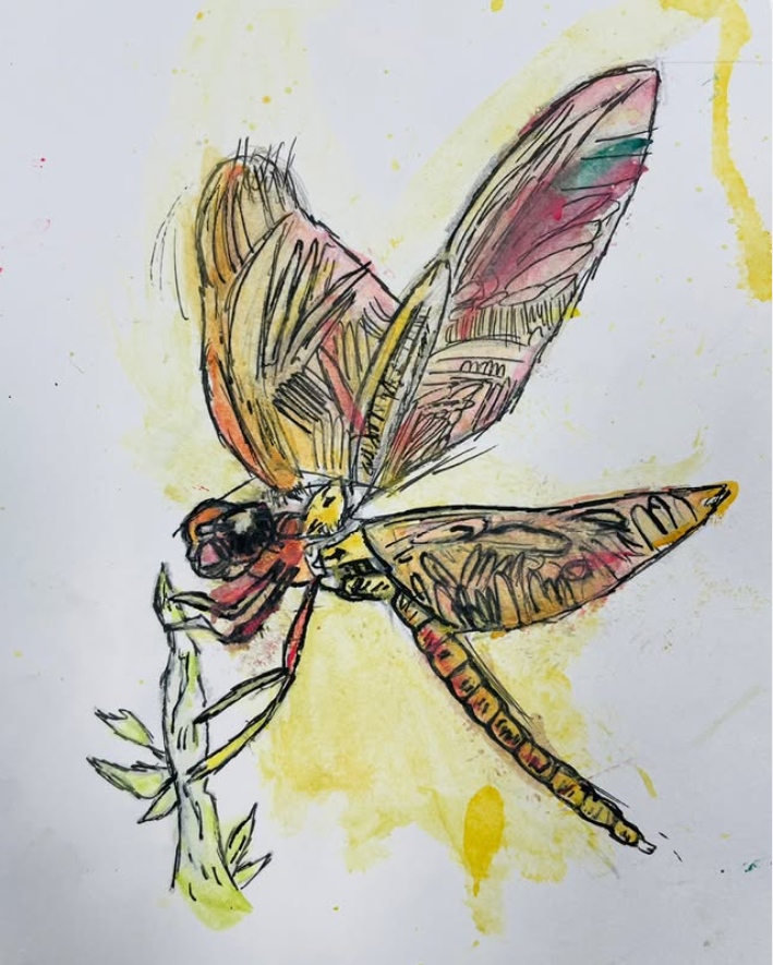 BournvilleSch's tweet photo. Year 7 have been learning about the work of @abbydiamondart ⭐️ I love the mark making and attention to detail in this piece by Reem ⭐️ #excellence #abbydiamond #ks3art #markmaking
See this Instagram photo by @bournville_school_art https://t.co/WrMlM0t6t8 https://t.co/6XfDGD5ODR