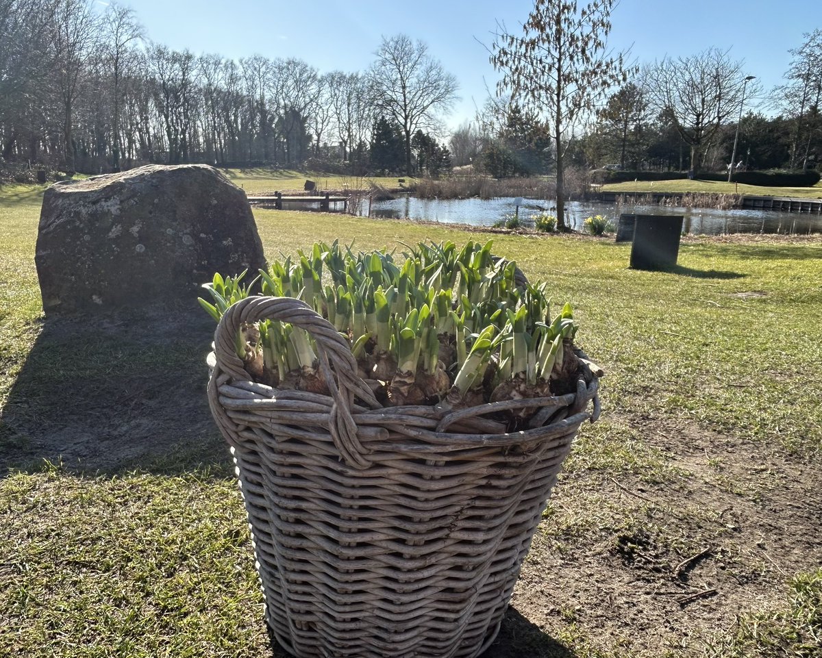 BirgithaBakker's tweet image. Wat een heerlijke lentedag gisteren! 🤩 Alle zintuigen werden weer wakker geschud: de zon op de blote armen, de heerlijke frisse geur van het voorjaar, het geluid van dennenappels die openspringen door de zon ☀️ fijn weekend allemaal! #enjoythelittlethings #relax #genieten❤️