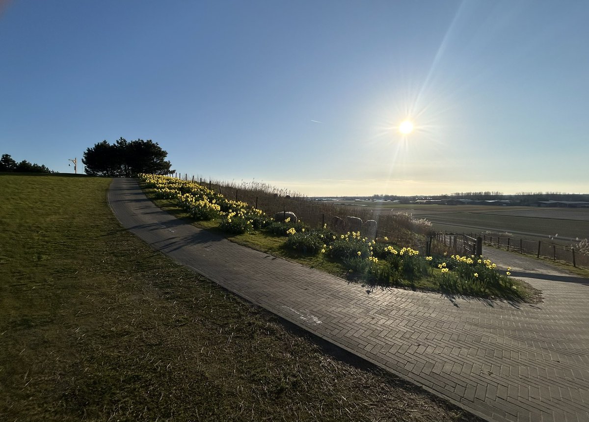 BirgithaBakker's tweet image. Wat een heerlijke lentedag gisteren! 🤩 Alle zintuigen werden weer wakker geschud: de zon op de blote armen, de heerlijke frisse geur van het voorjaar, het geluid van dennenappels die openspringen door de zon ☀️ fijn weekend allemaal! #enjoythelittlethings #relax #genieten❤️