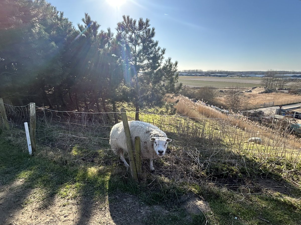 BirgithaBakker's tweet image. Wat een heerlijke lentedag gisteren! 🤩 Alle zintuigen werden weer wakker geschud: de zon op de blote armen, de heerlijke frisse geur van het voorjaar, het geluid van dennenappels die openspringen door de zon ☀️ fijn weekend allemaal! #enjoythelittlethings #relax #genieten❤️