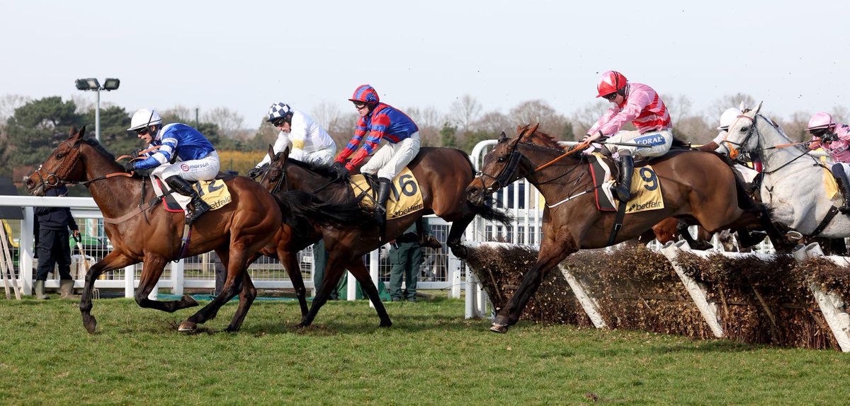 paulfergusonJTF's tweet photo. Go Dante wins a second successive Imperial Cup yesterday

📸 https://t.co/HWV6AqmiG6
@BarbaraHester0 https://t.co/xCVg4aOUPr