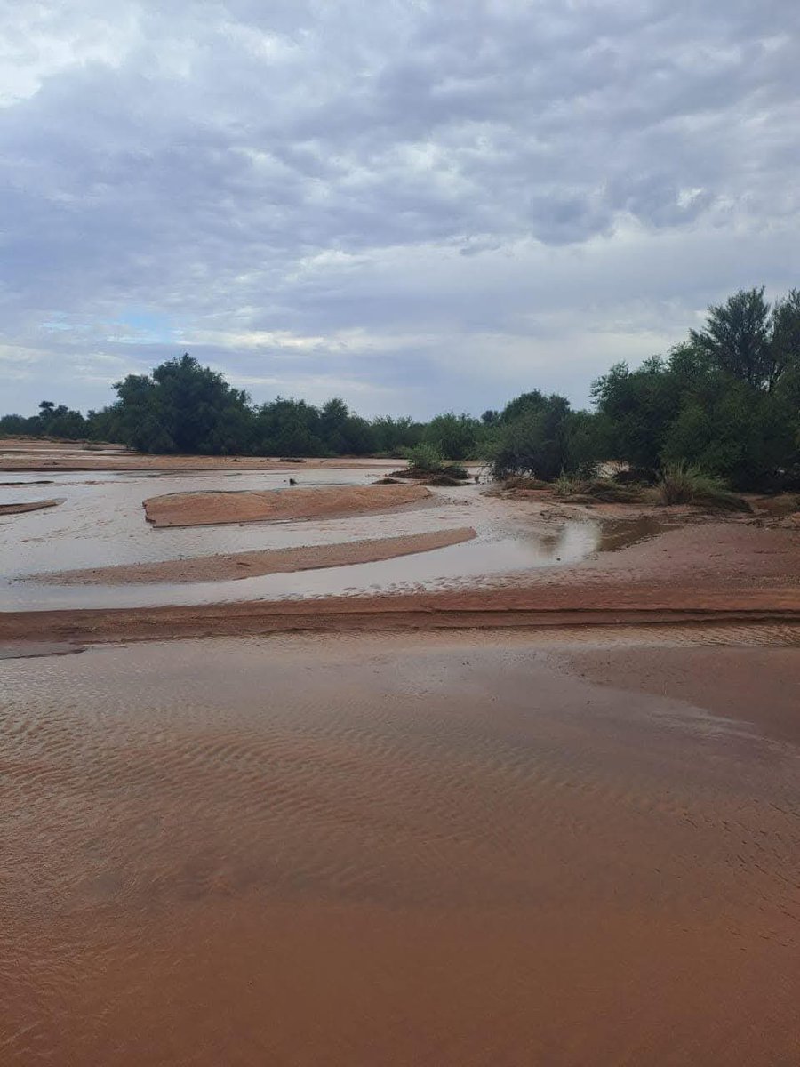 ReenvalSA's tweet photo. Kenhardt het weer van Vrydag nag tot vanoggend tussen 20mm en 50mm reen gehad.
Plekke en paaie is verspoel maar ons harte loop oor. 📷Hj van der Merwe 📷Derick van der Merwe @peoples_weather @SAWeatherServic @VoxWeatherZa @landbou @AgriSA1904 @maroelamedia https://t.co/aLkr3mf6JW