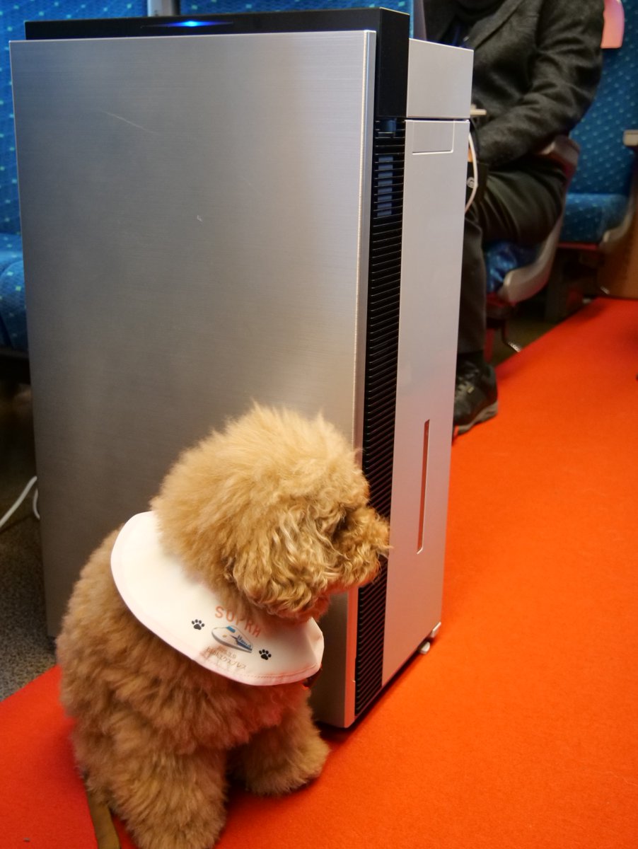 わんこ ただいま #わんわんエクスプレス 運行中！🐶 新幹線内でワンちゃんとの