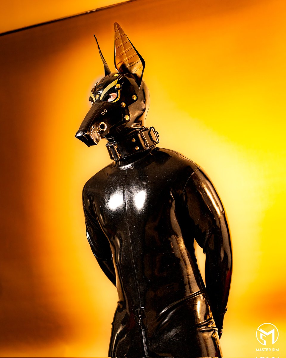 Every layer tells a story. Tonight's story: mystery, latex, and a hint of mischief. Captured by <a href="/mastersim5/">Master Sim</a>🌙🐕‍🦺.