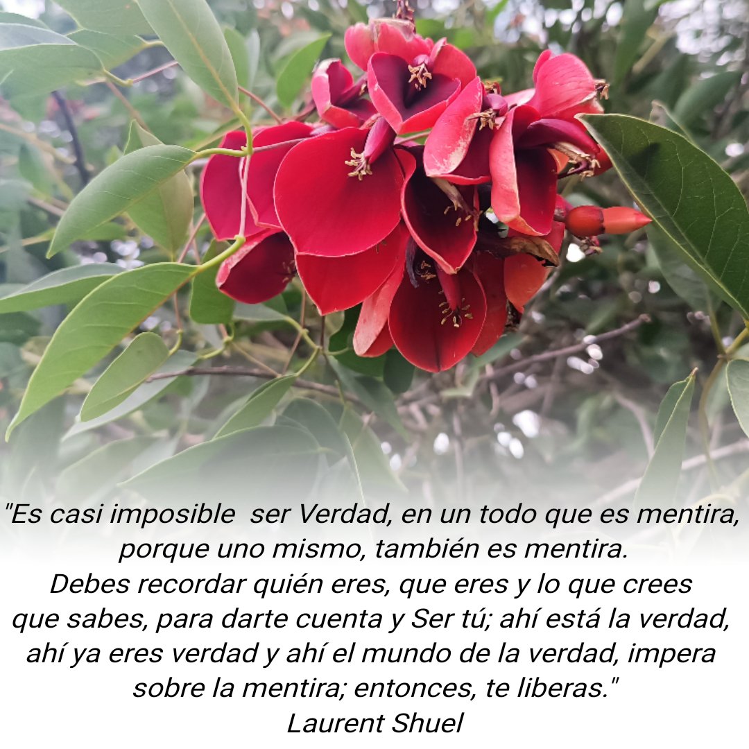 FlaviaRojo's tweet photo. Buenos días a todos 🌞 https://t.co/fNqtWfMTk5