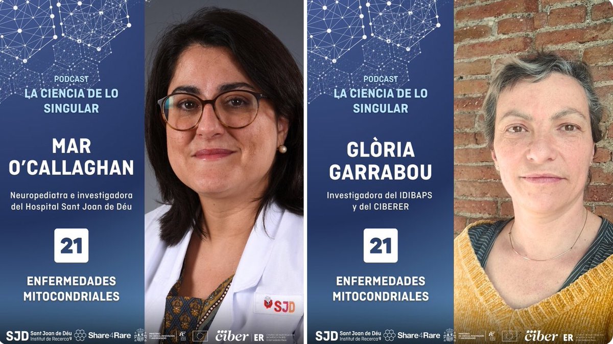 NoInvisibles's tweet photo. Este capítulo de #LaCienciadeloSingular trata sobre un grupo de #enfermedadesraras que se originan por un fallo en el funcionamiento de las #mitocondrias, las fábricas de energía de nuestras células.
Con las Dras. Mar O’Callaghan @SJDbarcelona_es y Glòria Garrabou @idibaps que trabajan con @AEPMI y forman parte del @CIBERER
Y la experiencia de Javier Gómez, padre de Izan, un joven con una #miopatía mitocondrial, y con Albert Tosquella, afectado por el síndrome de #MELAS
Gr. @Share4Rare_es @SaludISCIII @CIBER_ISCIII 
Enlaces👇para este #podcast de #Mitocondriales👍💚💜👏
https://t.co/PwCQuTg54F