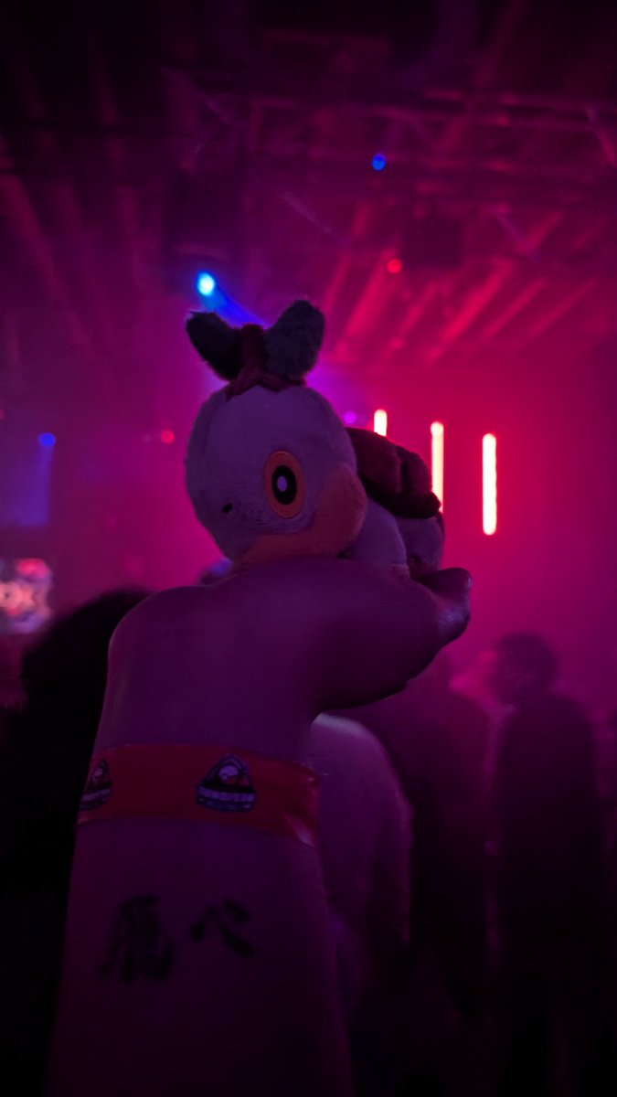 vicwingly's tweet image. turtwig at the gay club