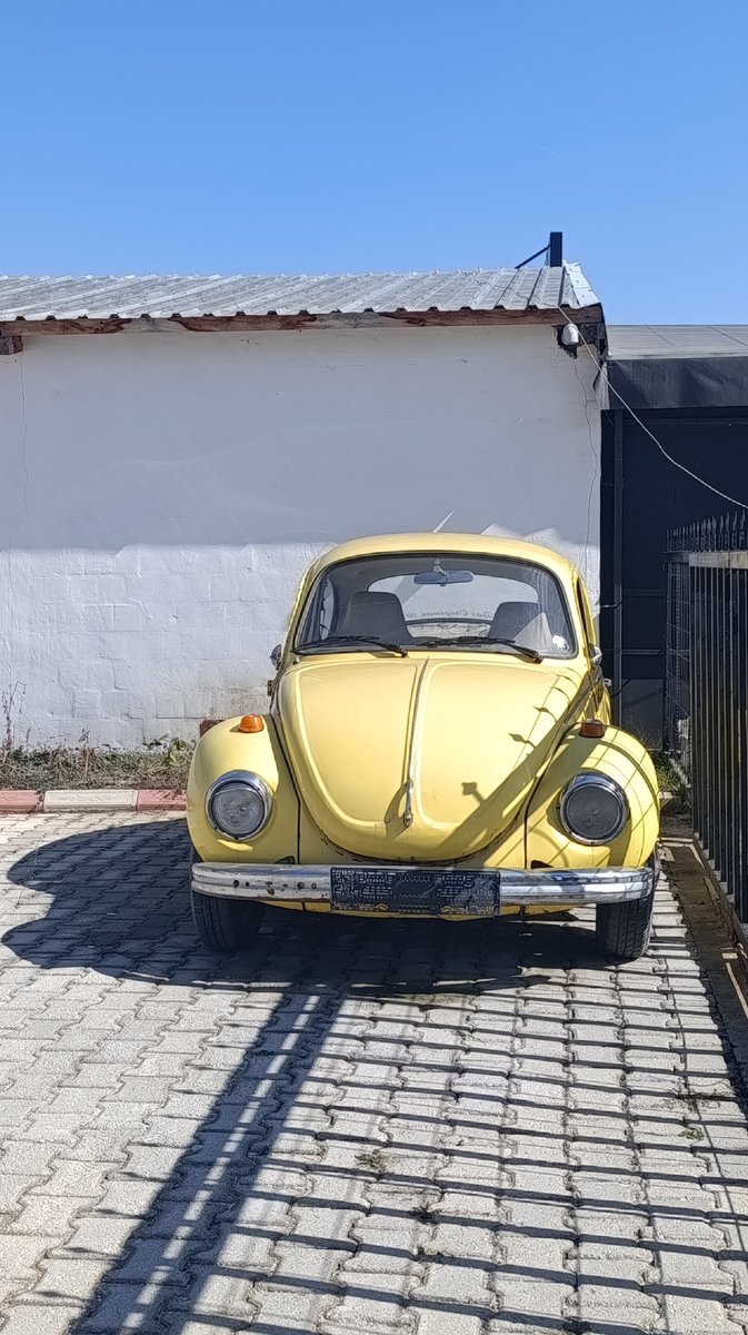 Bumblebee ilk hali Türkiye'de görüldü. 🥺