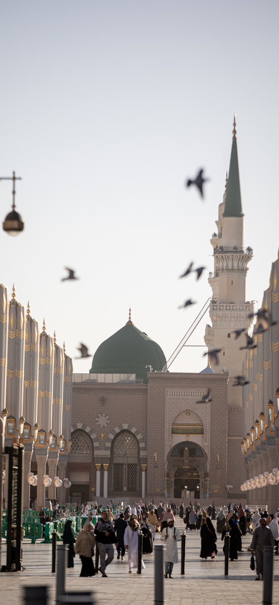 thefaqiir's tweet image. Masjid al-Nabawi