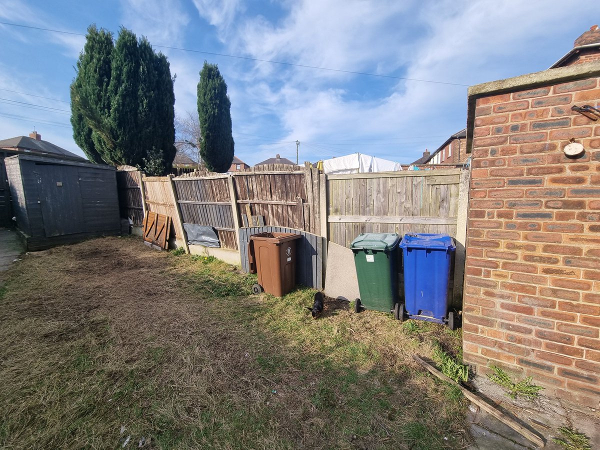 Gamble free girl tweet media