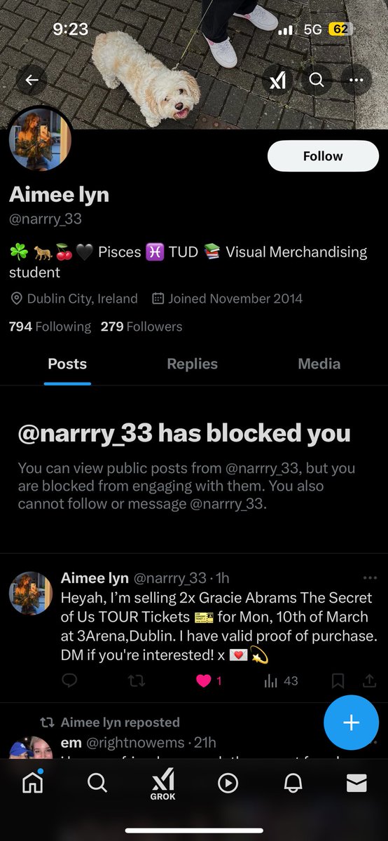 _niamhforanx_'s tweet photo. #ticketfairyireland be careful of this account trying to sell fake Gracie Abram’s tickets 🥲🥲 https://t.co/9P9n8SUlVB
