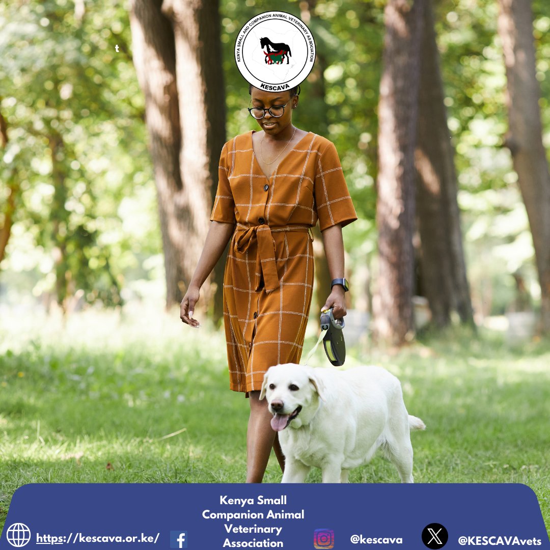 🐶🐱 It’s Fur Friday!

Celebrate the end of the week by spending some quality time with your pet:

✔️ Go for an extra-long walk.
✔️ Sneak in an extra treat.
✔️ Capture their cutest weekend-ready pose and share with us! 📸🐾

#FurFriday #HappyWeekend
