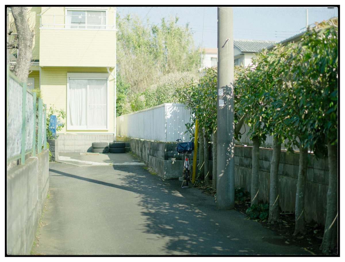 meow_photo's tweet image. 
