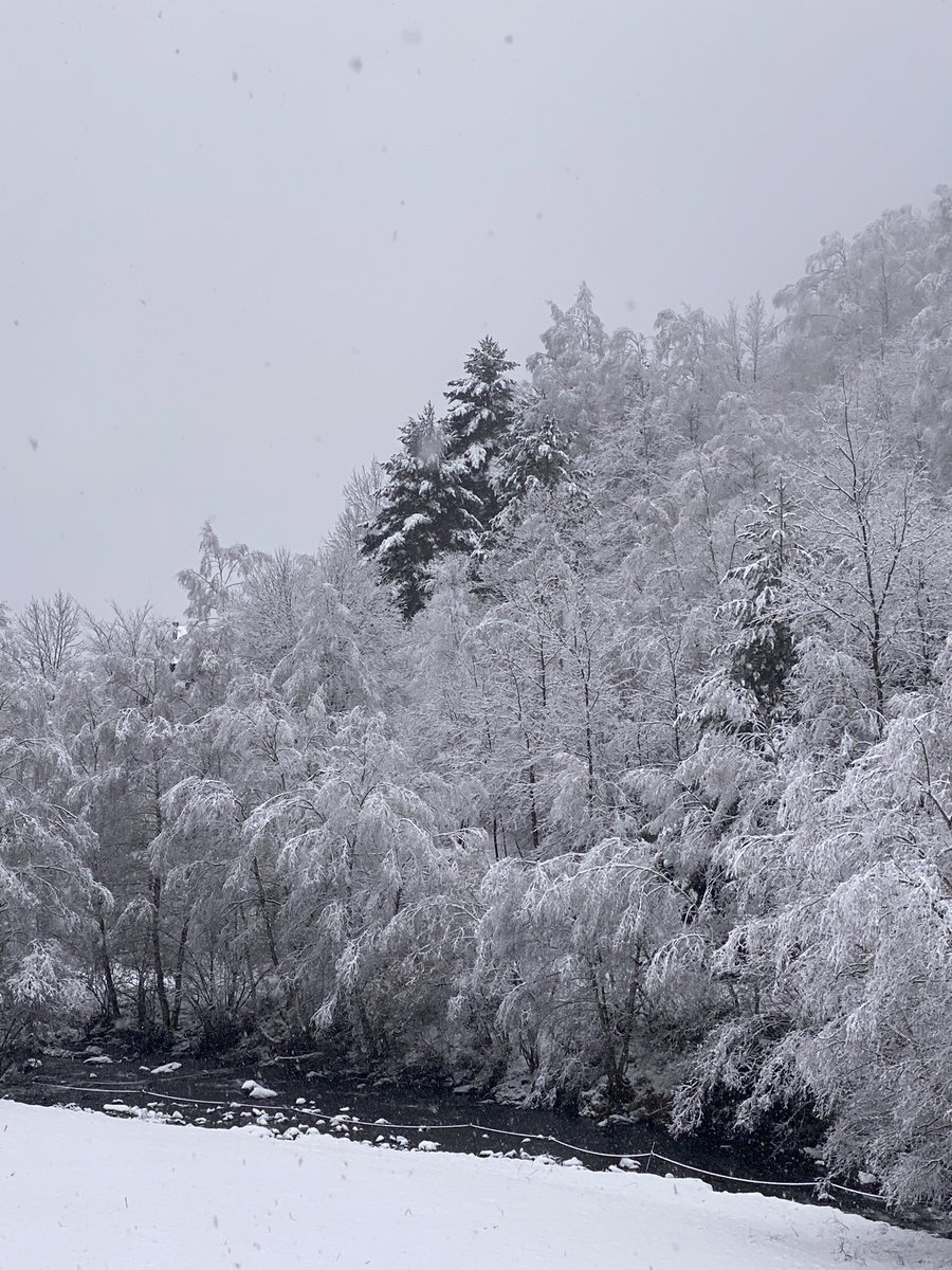 Llorts, altitud 1.440m
En aquest  episodio de pluges i neu s’han recollit 21 mm.
<a href="/MeteoPiri/">MeteoPirineus</a> <a href="/Meteo_Pyrenees/">Météo Pyrénées</a> <a href="/P4Estacions/">Projecte 4 Estacions</a> <a href="/GrupCMI/">ClimaMeteoInfo</a> <a href="/VisualMeteo/">VisualMeteo</a> <a href="/MeteoAnd_OECC/">Servei Meteo d'Andorra</a> <a href="/rtvandorra/">RTVA</a> <a href="/Stormyalert/">Stormyalert</a>