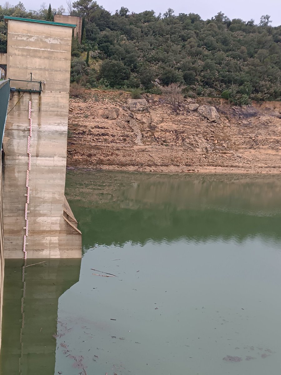 MeteoEmporda's tweet photo. L'embassament Darnius-Boadella ja ha superat el 25%! Ara mateix hi som i es pot observar la ploma sedimentaria de l'aport de la Muga i l'Arnera! 

Veieu la part marró del fons? Son sediments, que si no hi hagués la presa seria la nova sorra de les platges de la Badia de Roses. https://t.co/ISMl9K9SAL