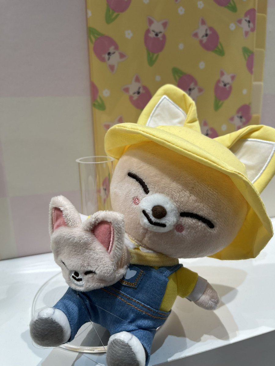 mimi05_16's tweet photo. 幸せすぎる空間🥰 https://t.co/o1mHKwWmDy