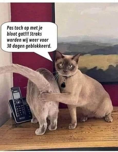 Paul Cosijns (@cosijnspaul) on Twitter photo 