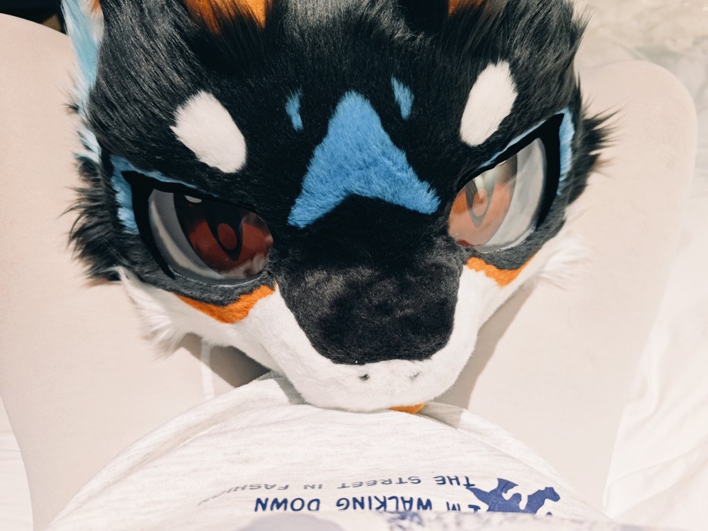 awuooooo's tweet photo. https://t.co/x1js95apO9