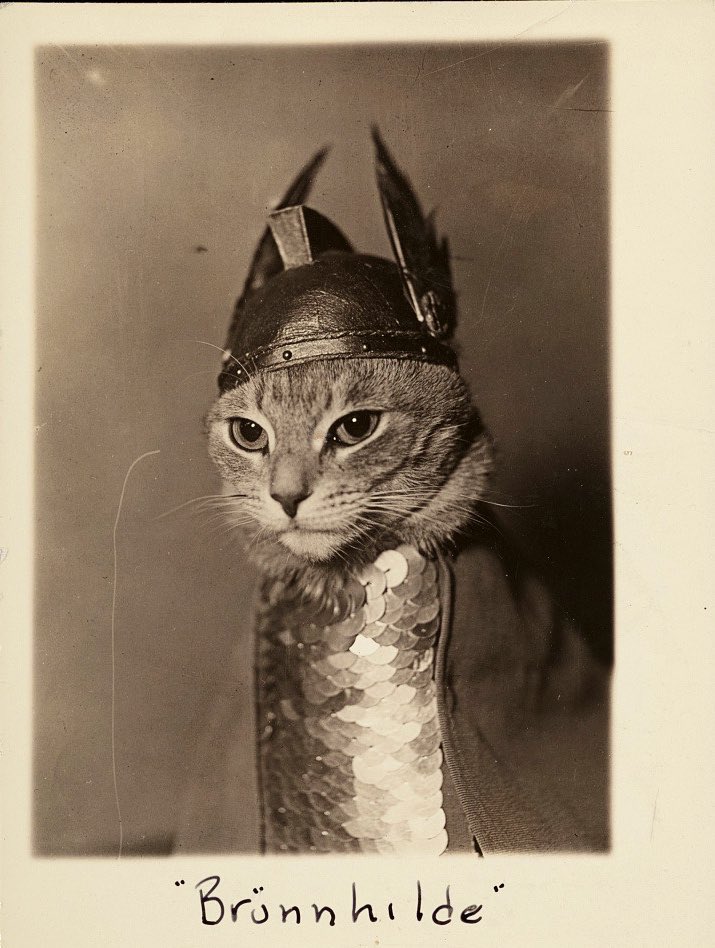 «Брунгильда» 1936

Доброе утро
