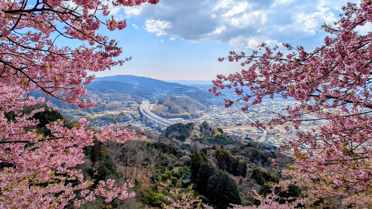Be_GreenHand's tweet photo. 🌸あぐりパーク嵯峨山苑（神奈川県松田町）
とっても穴場でした！
 https://t.co/tB8AX5G4iS https://t.co/rT7N8JMbh7