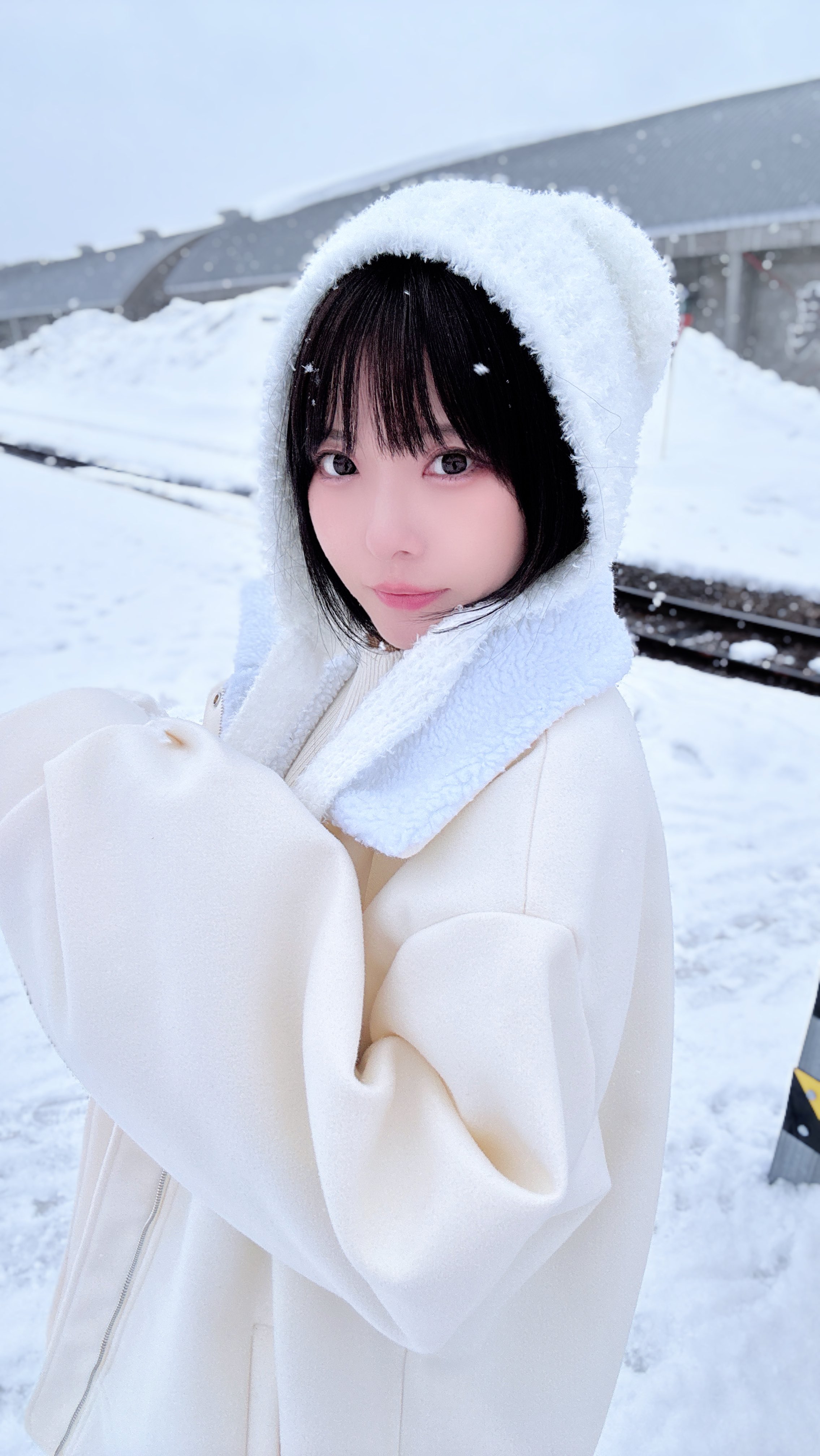 Amazon.co.jp: はるゆき: 本、バイオグラフィー、最新アップデート
