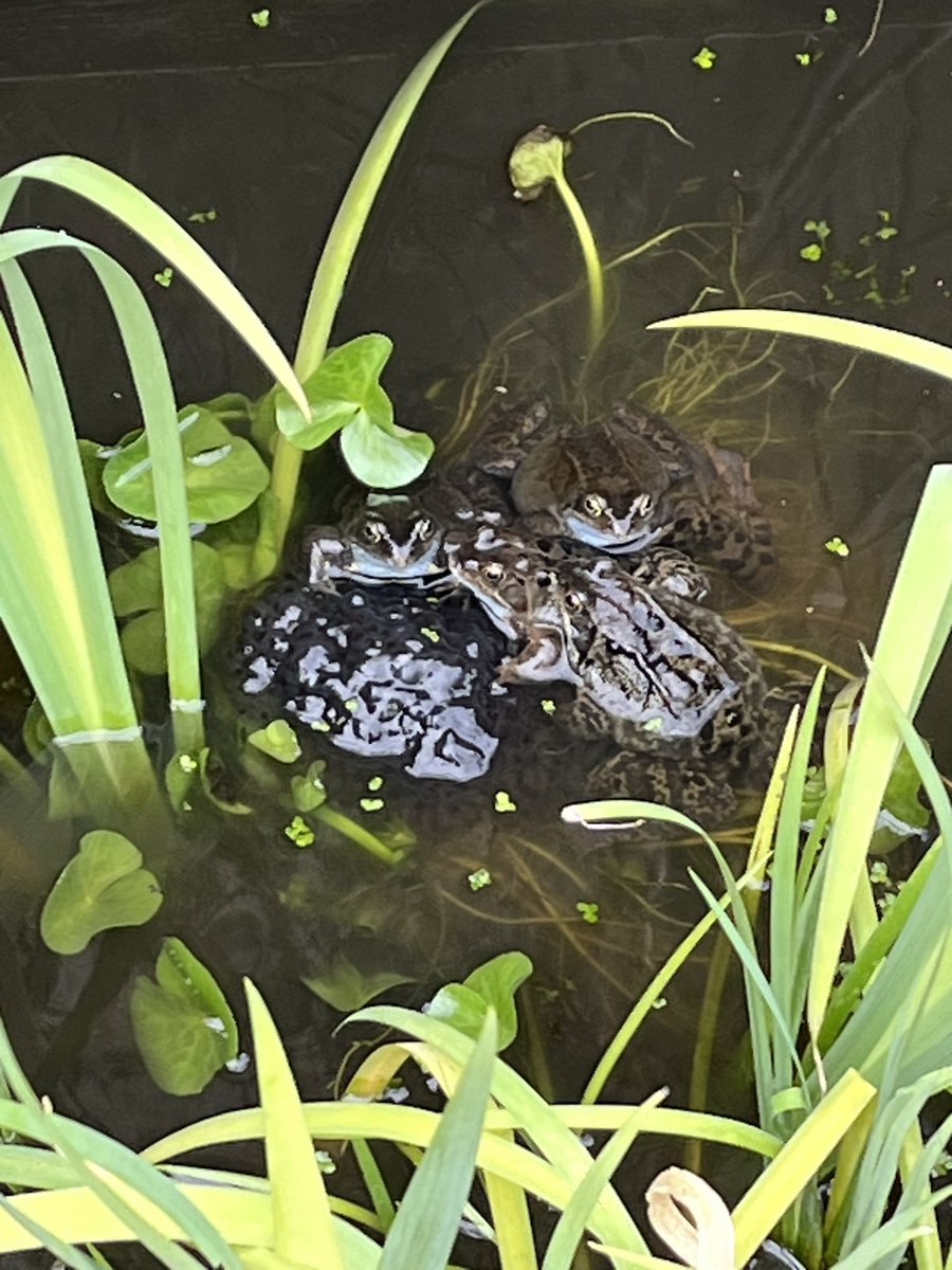 Steph Walker tweet media