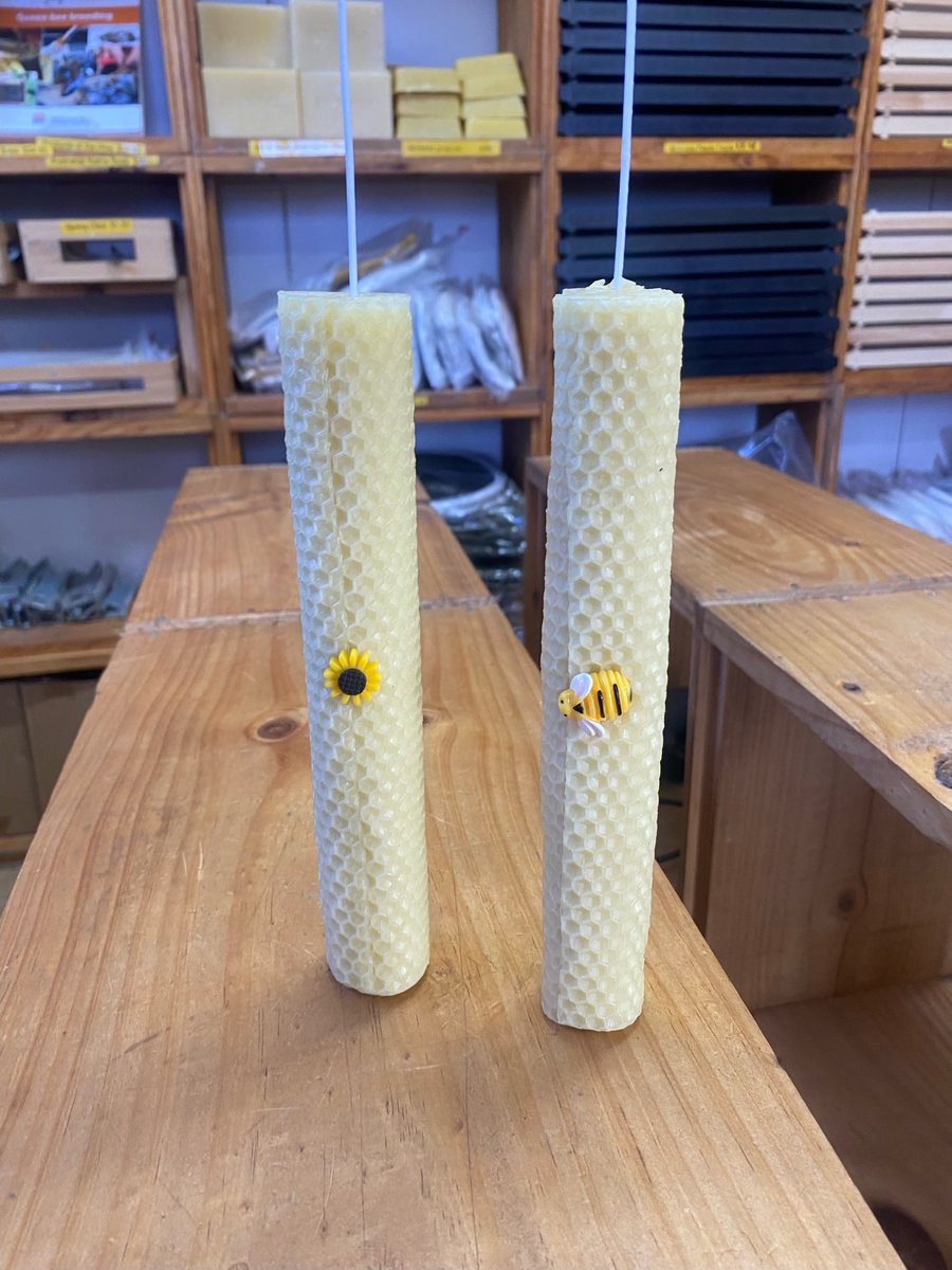 Alistair Harkness tweet media