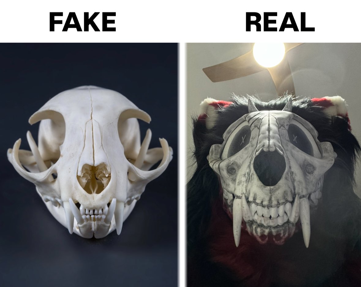 fy_tchi's tweet photo. real af + silly tags for exposure 🛐 #furry #fursuit https://t.co/hz9eZbddrg