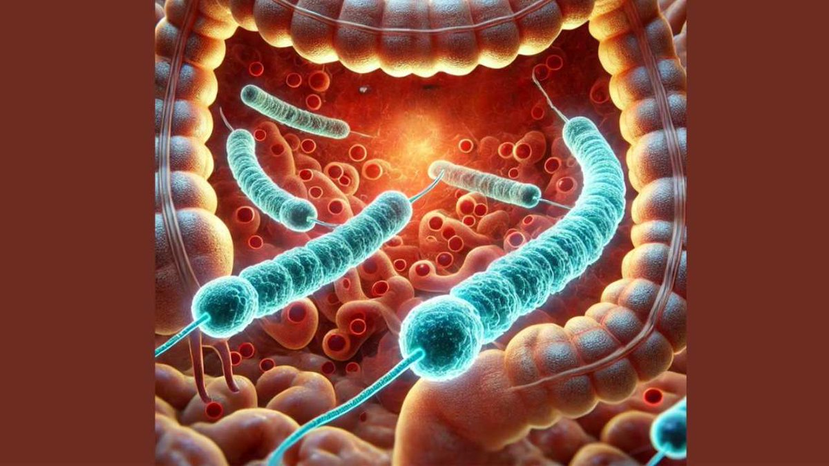 A Gut Bacteria Could Help Prevent Colon Cancer happiesthealth.com/articles/gut-m…