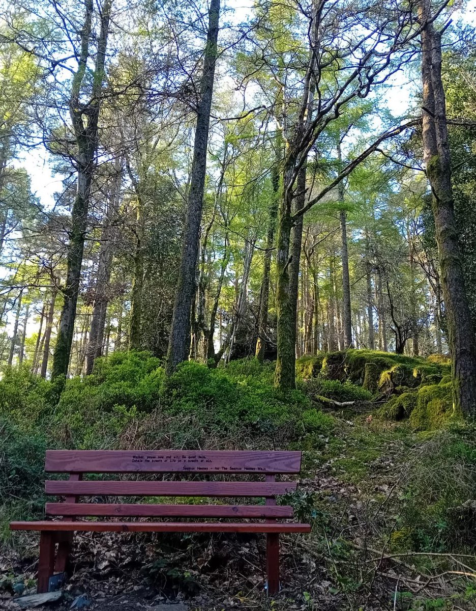 Today is the start of #treeweek2025... coordinated by <a href="/3CounciI/">Tree Council of Ireland</a> and sponsored by <a href="/coilltenews/">Coillte</a>. Lots of interesting events happening all over the country with details at nationaltreeweek.ie. 

Alternatively, just get out and enjoy the trees and forests in your area 🌲💚🌳
