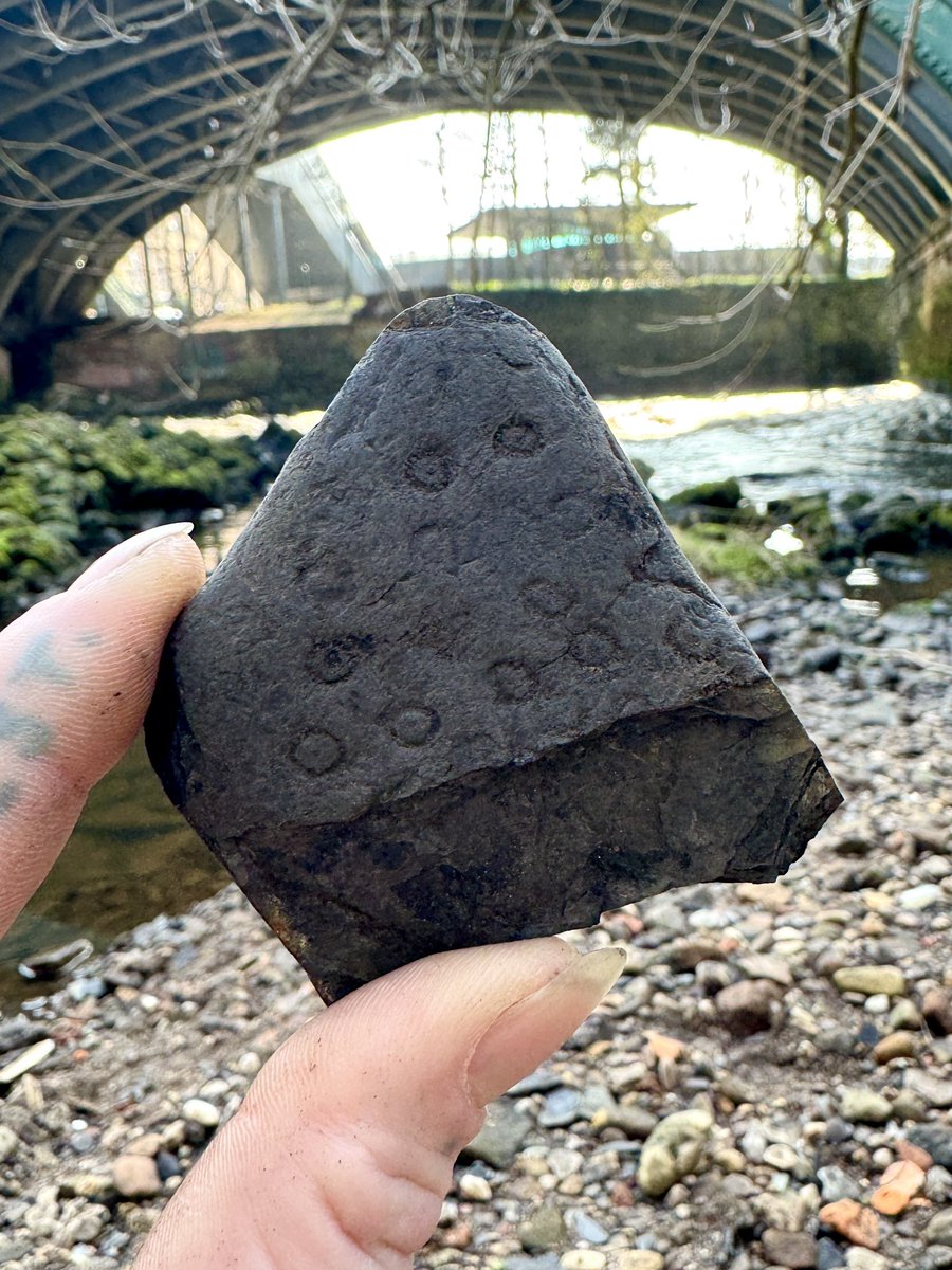 Been crawling about the river Kelvin exploring 330 million years of Glasgow’s heritage. Looked up and realised I had attracted a group of very confused spectators, so they got treated to an impromptu geology lesson (apologies for ruining your Sunday with my rock patter 😂)