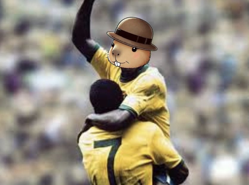 watching the footy today
pull up 
$paul $algo