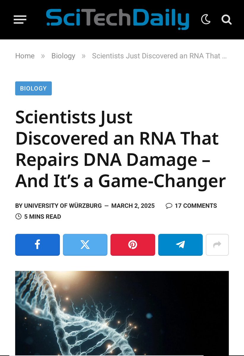 Scientists have identified an RNA molecule called NEAT1 that, when highly methylated, boosts cells’ efficiency in recognizing and repairing DNA damage. 

This discovery could significantly impact cancer treatment, aging research, and understanding genetic diseases.