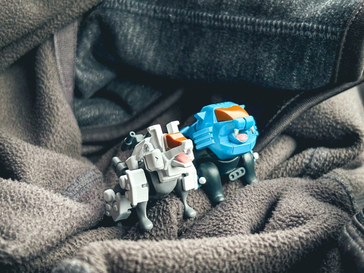 今日はシールドライガーとコマンドウルフと仲良くお出かけに行きました